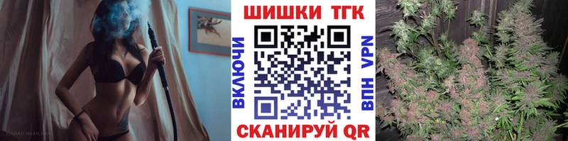 Шишки марихуана сатива  Купить закладки  Новомичуринск 
